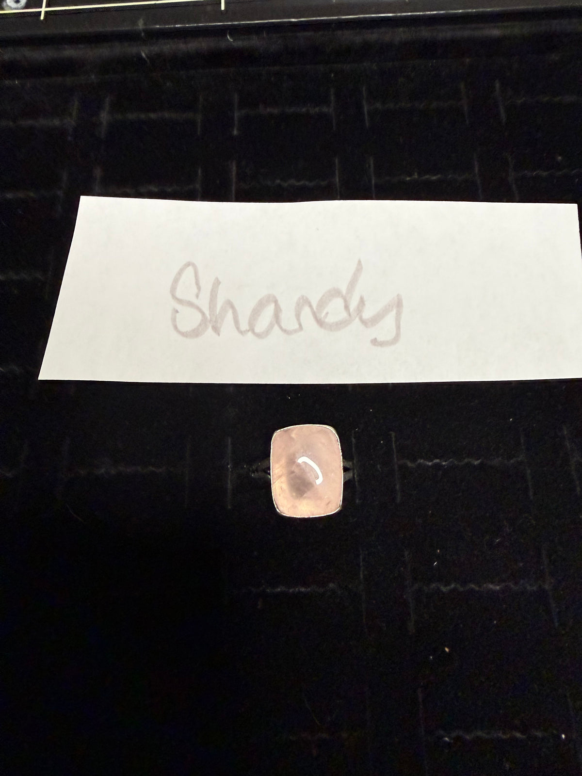 Shandy due Sept 14