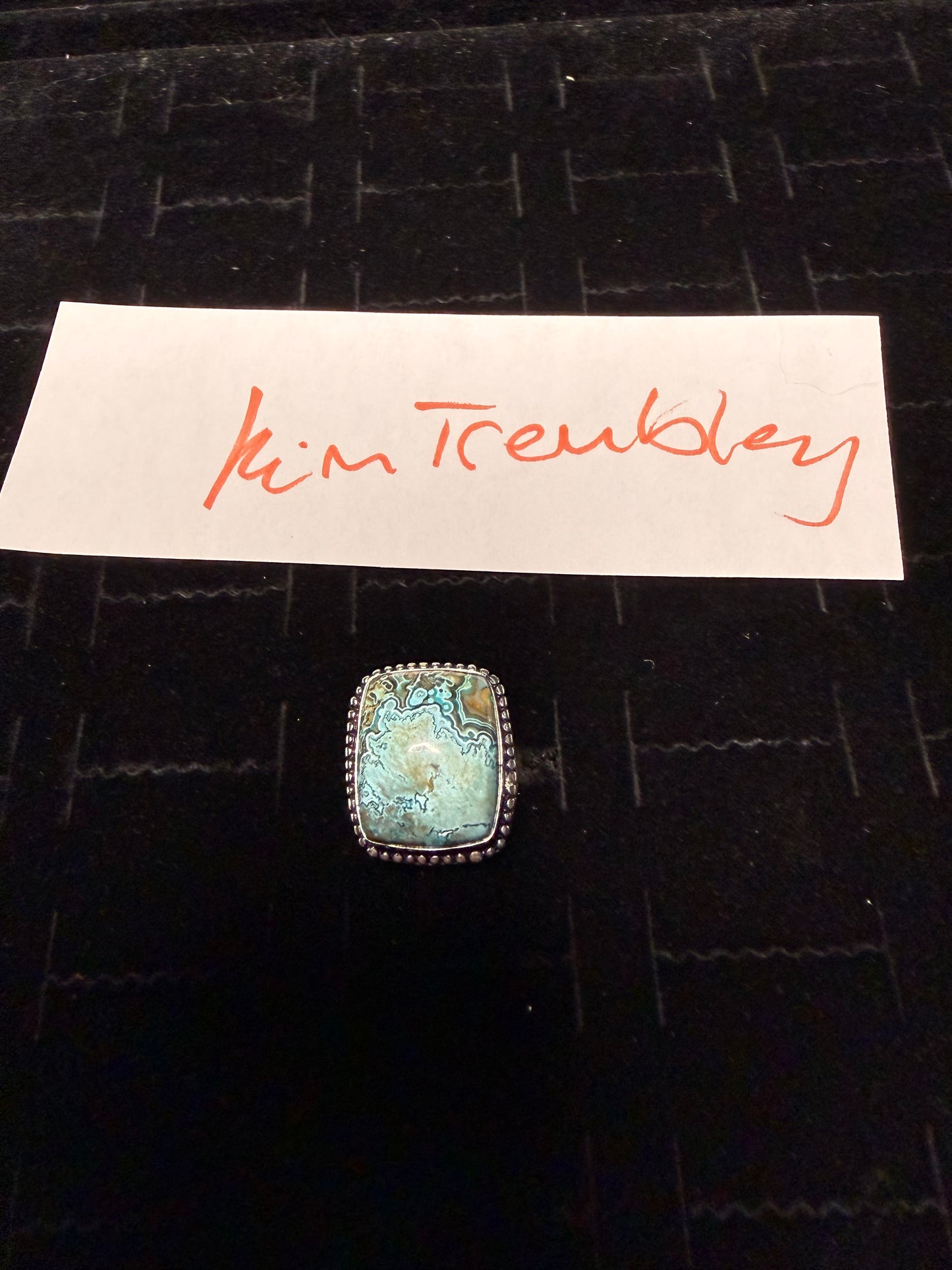 KimTrembley due March 13