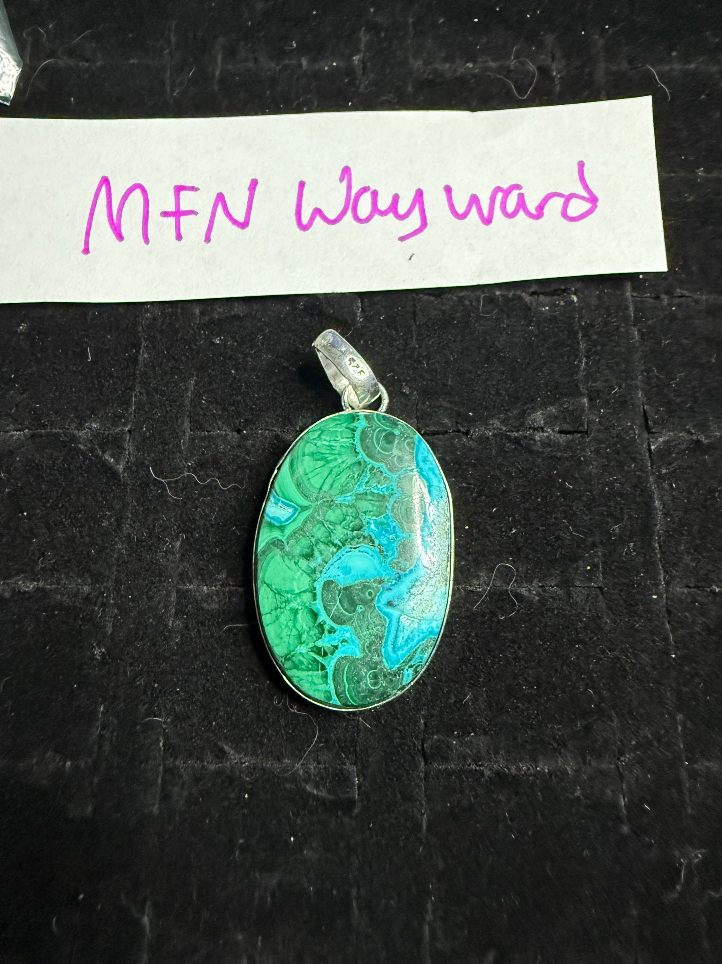 MFN_Wayward due April 15