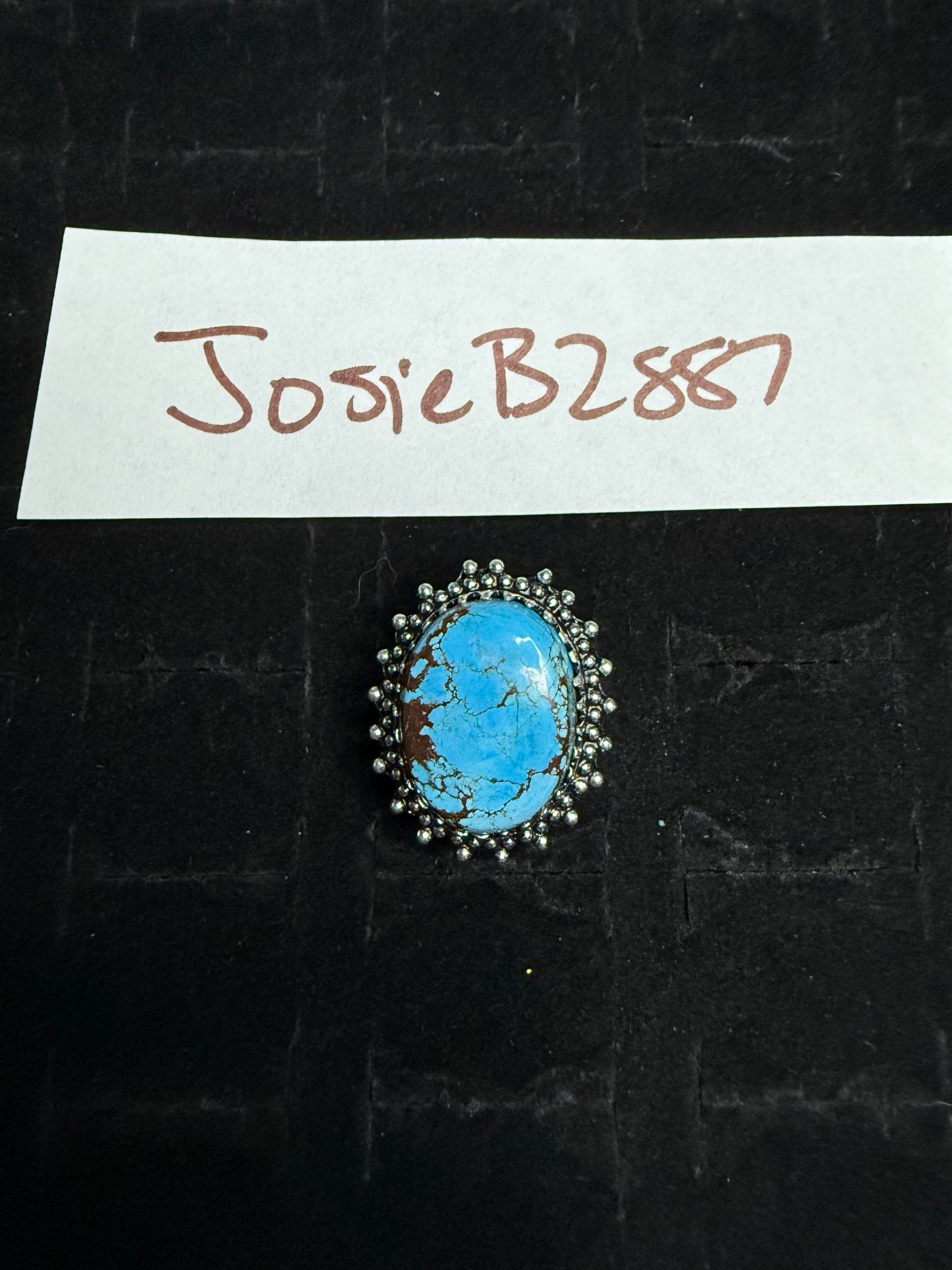 JosieB2887 due April 16