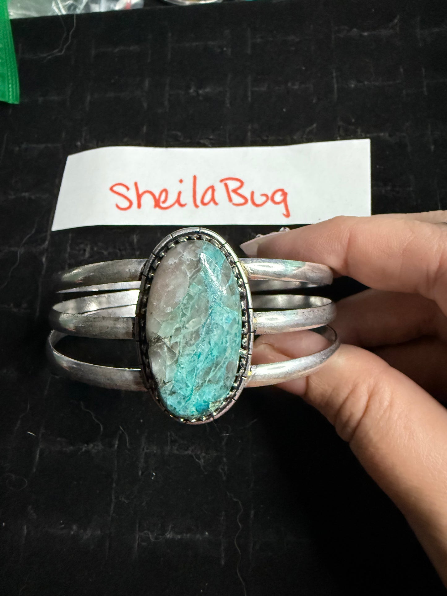 SheilaBug due April 30