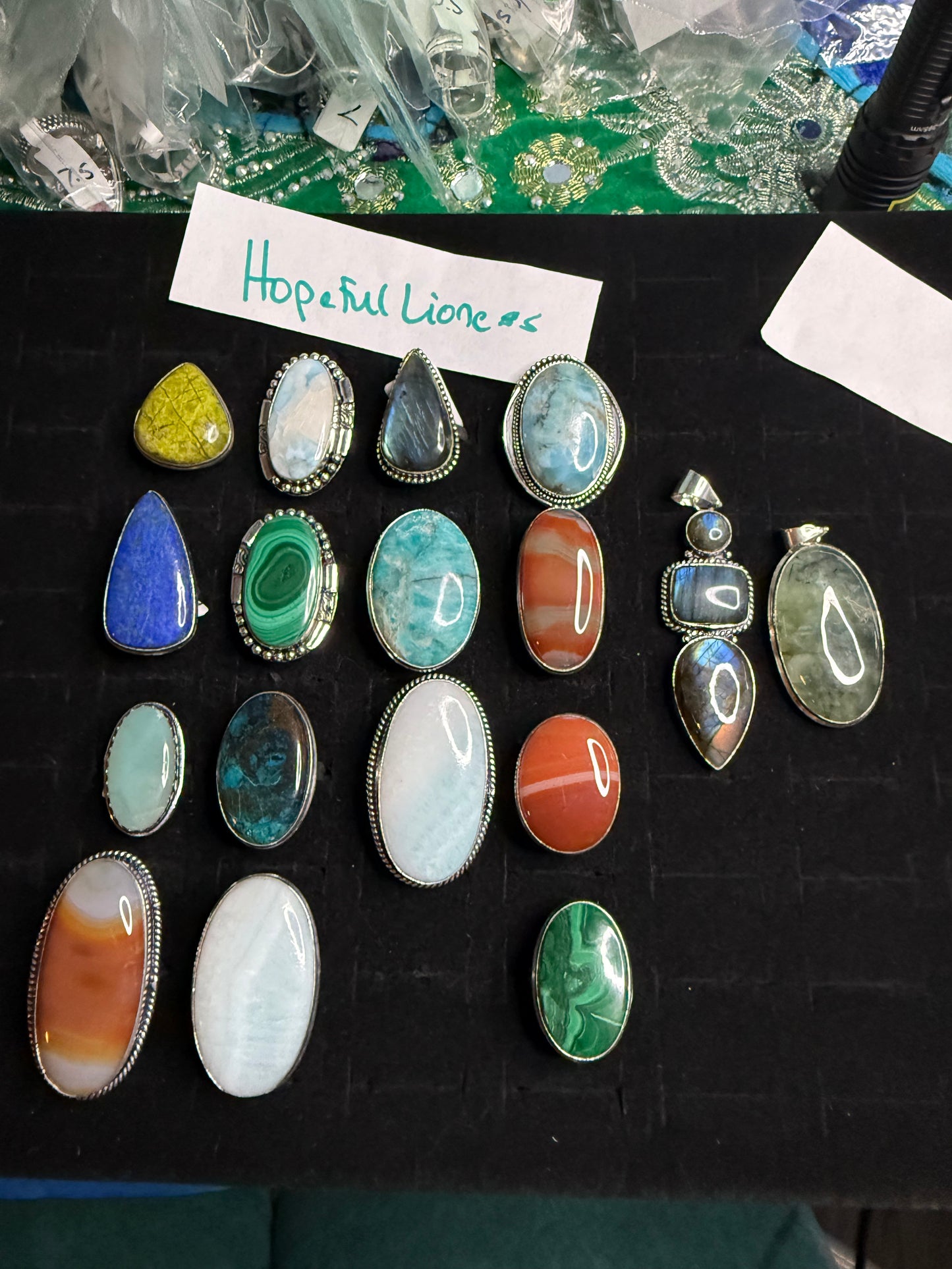 HopefulLioness due May 8