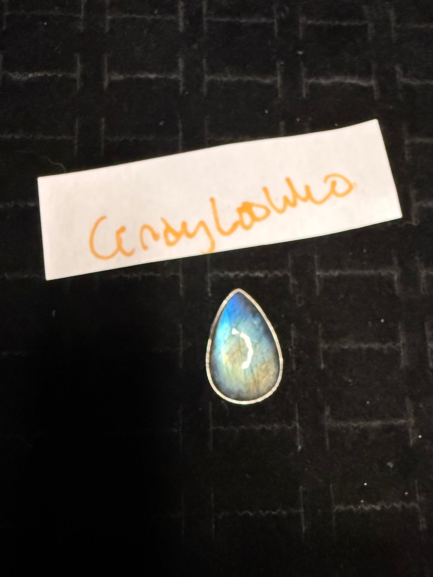 CindyLooWho due Sept 18