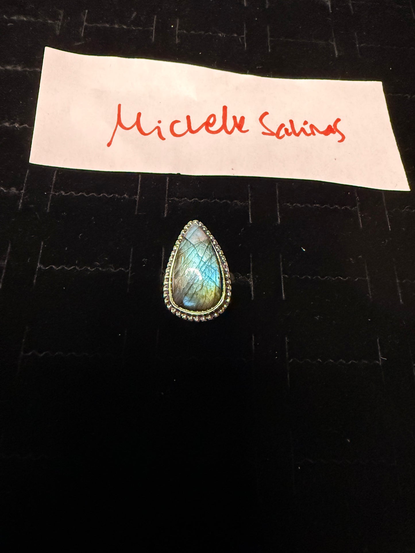 MicheleSalinas due Feb 26