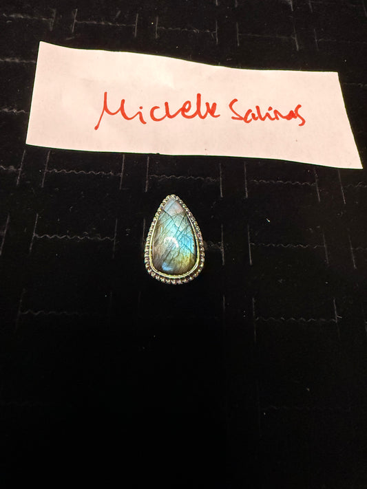 MicheleSalinas due Feb 26