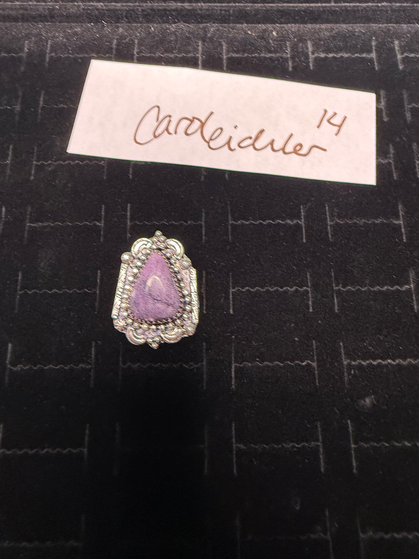 CarolEichler due Feb 8
