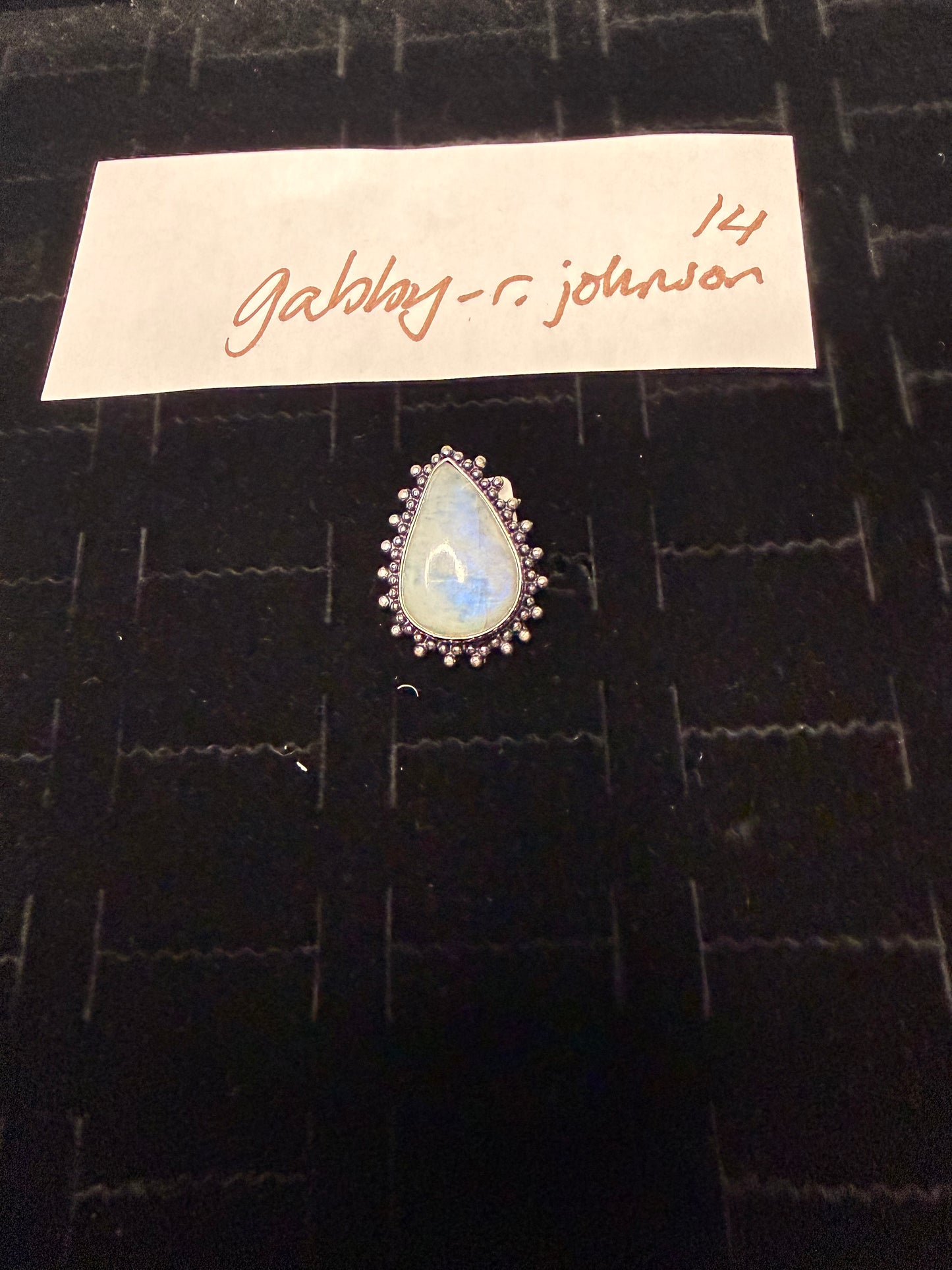 Gabby_Johnson due Feb 14