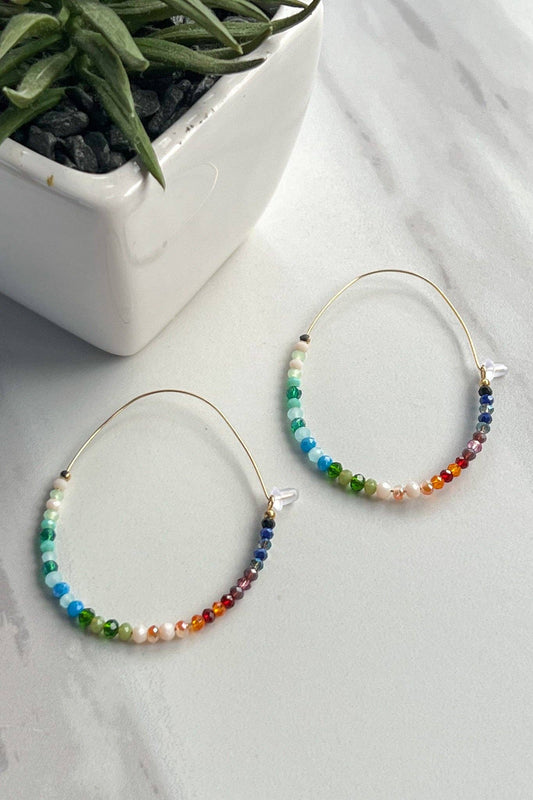 Luisa Earrings Multi
