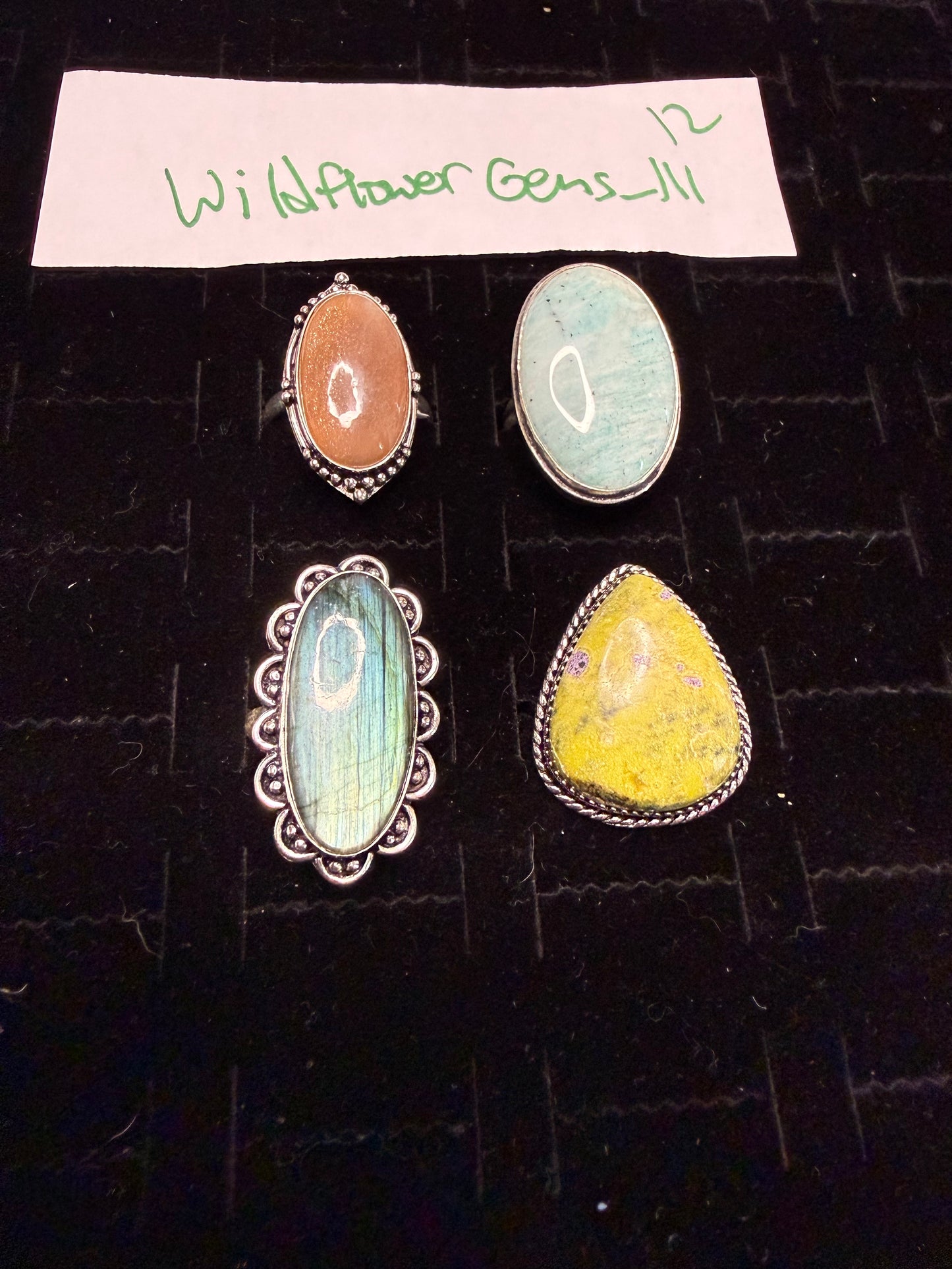 WildflowerGems_111 due Feb 13