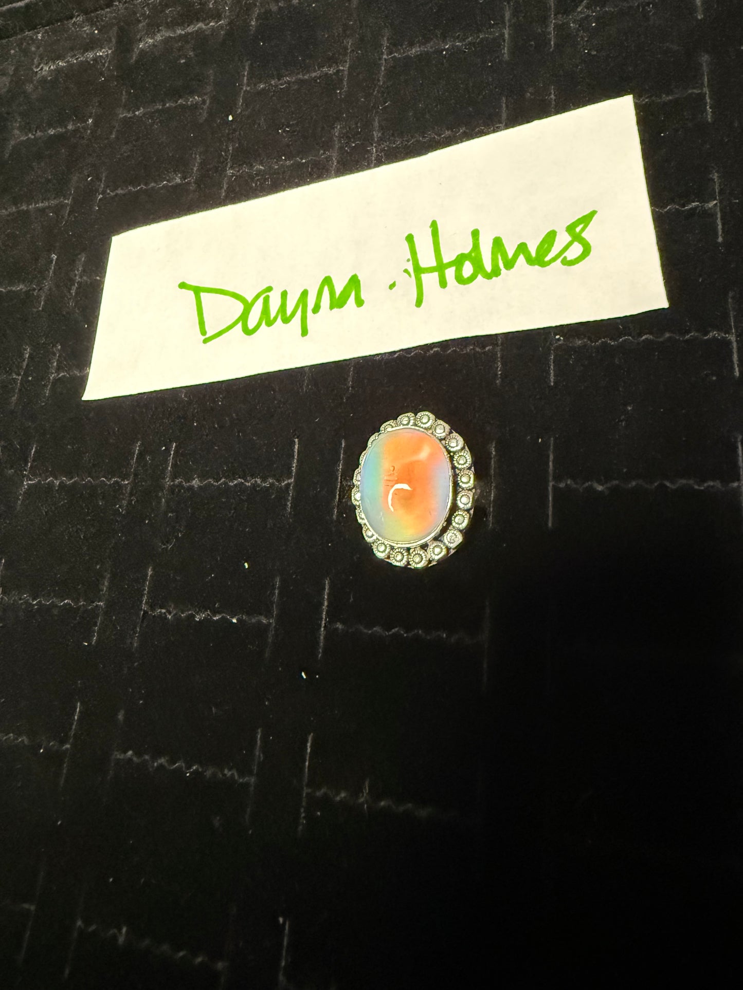 DaynaHolmes due June 30