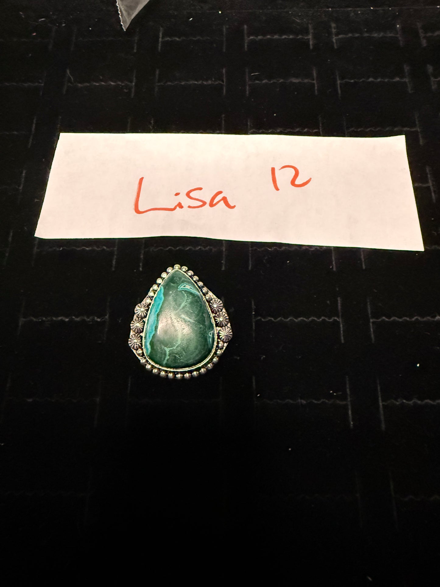 Lisa due Feb 27