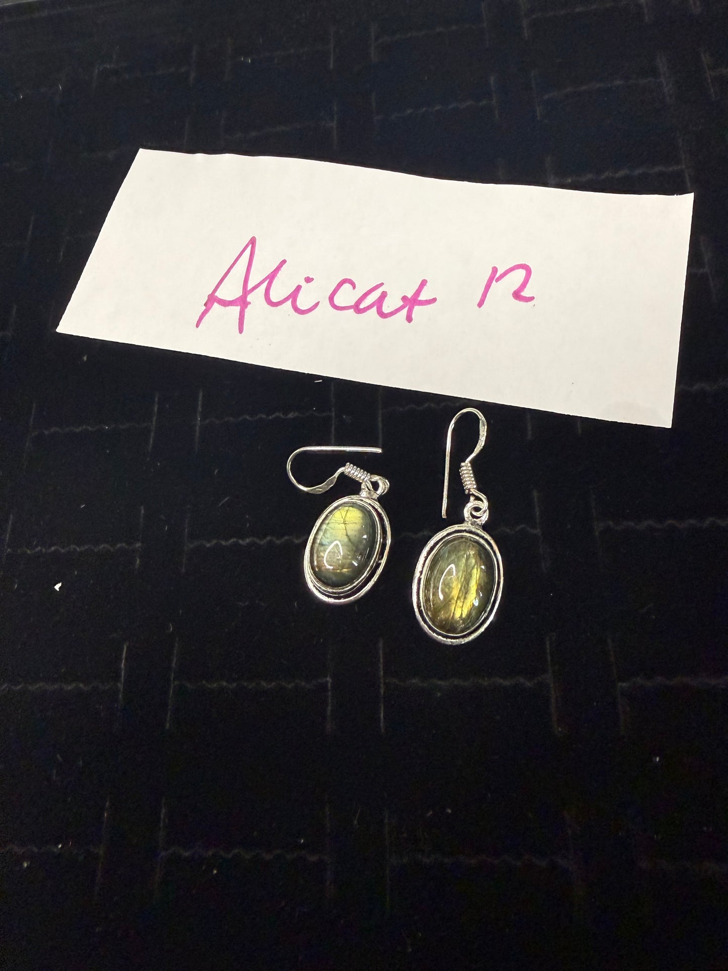 Alicat due Feb 25