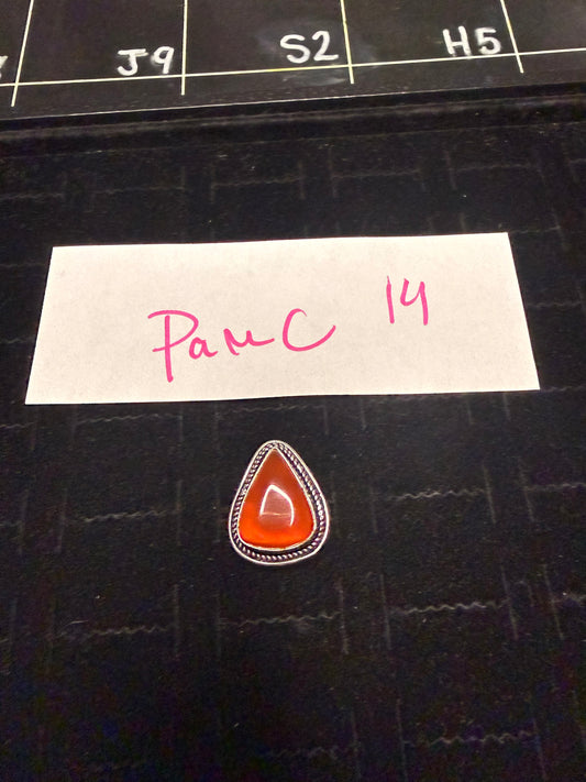 PamC due Sept 10