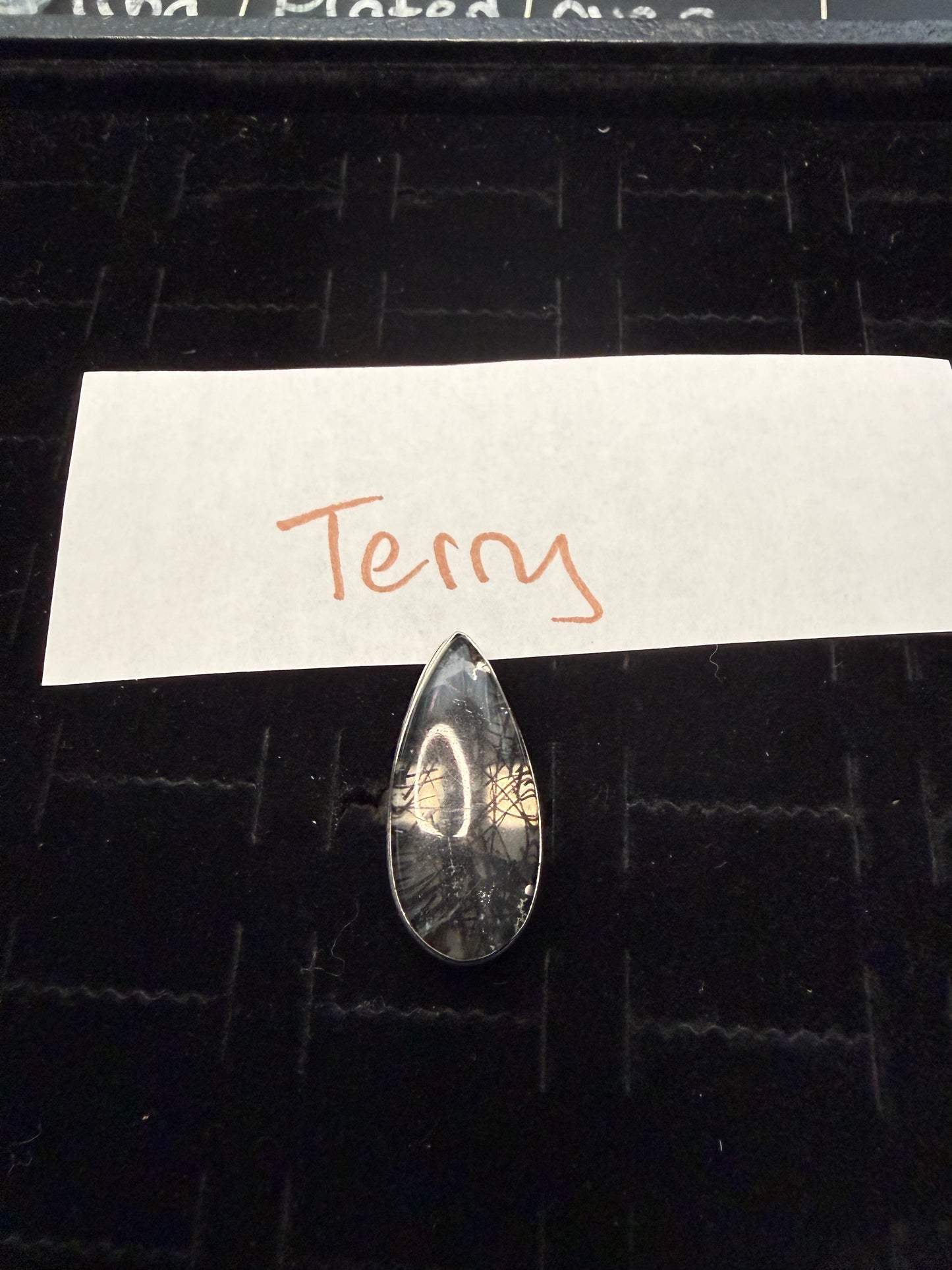 Terry due April 16