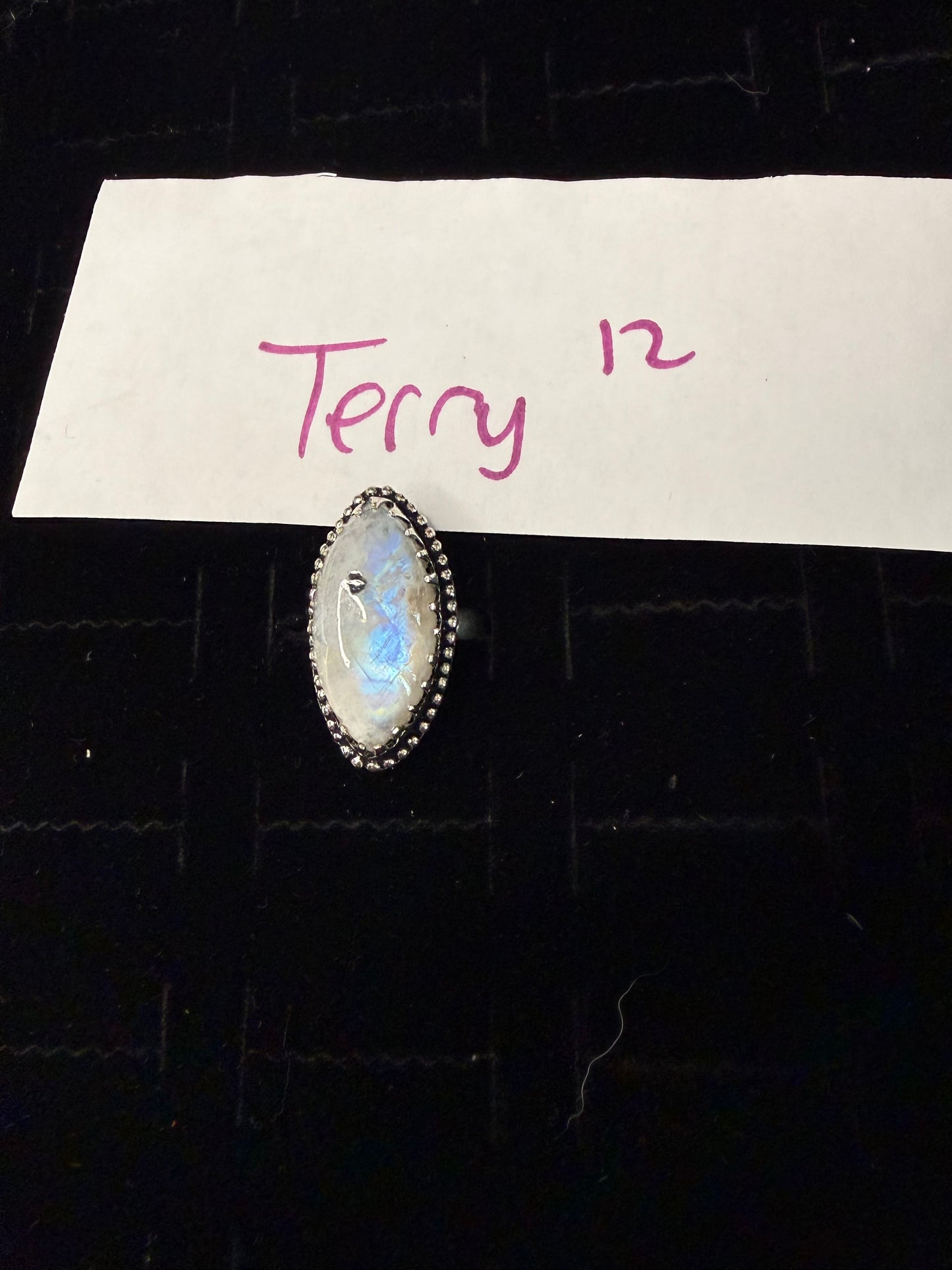 Terry due Feb 24