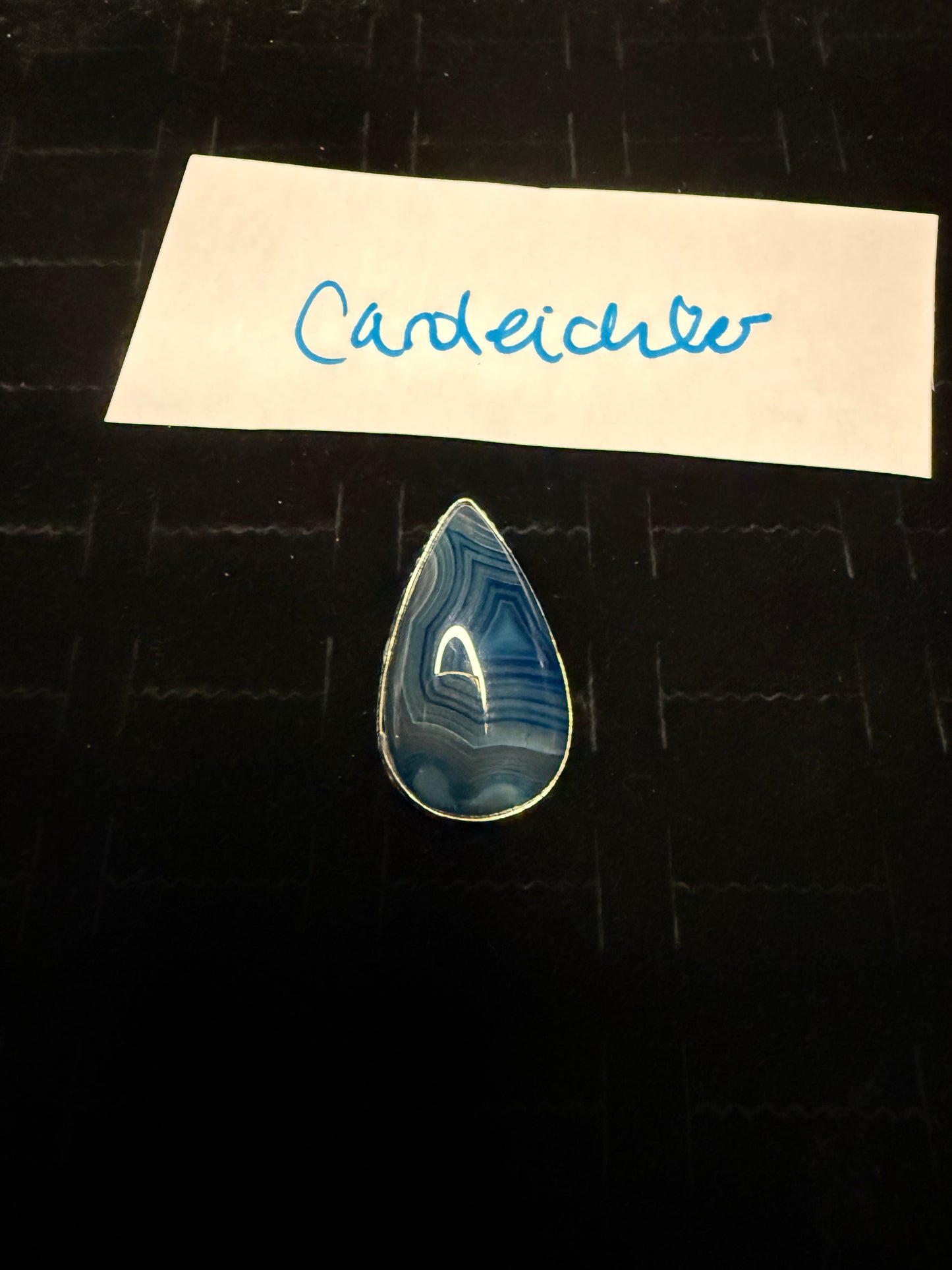 CarolEichler due March 13