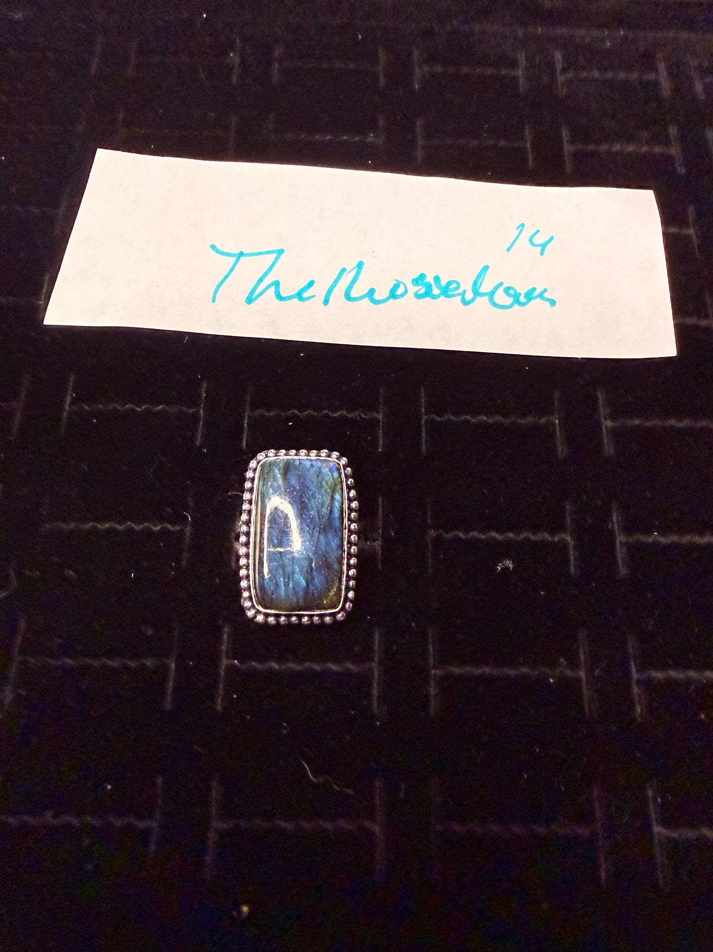 TheRosieMoon due Feb 17