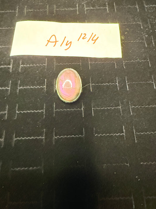Aly due Jan 3