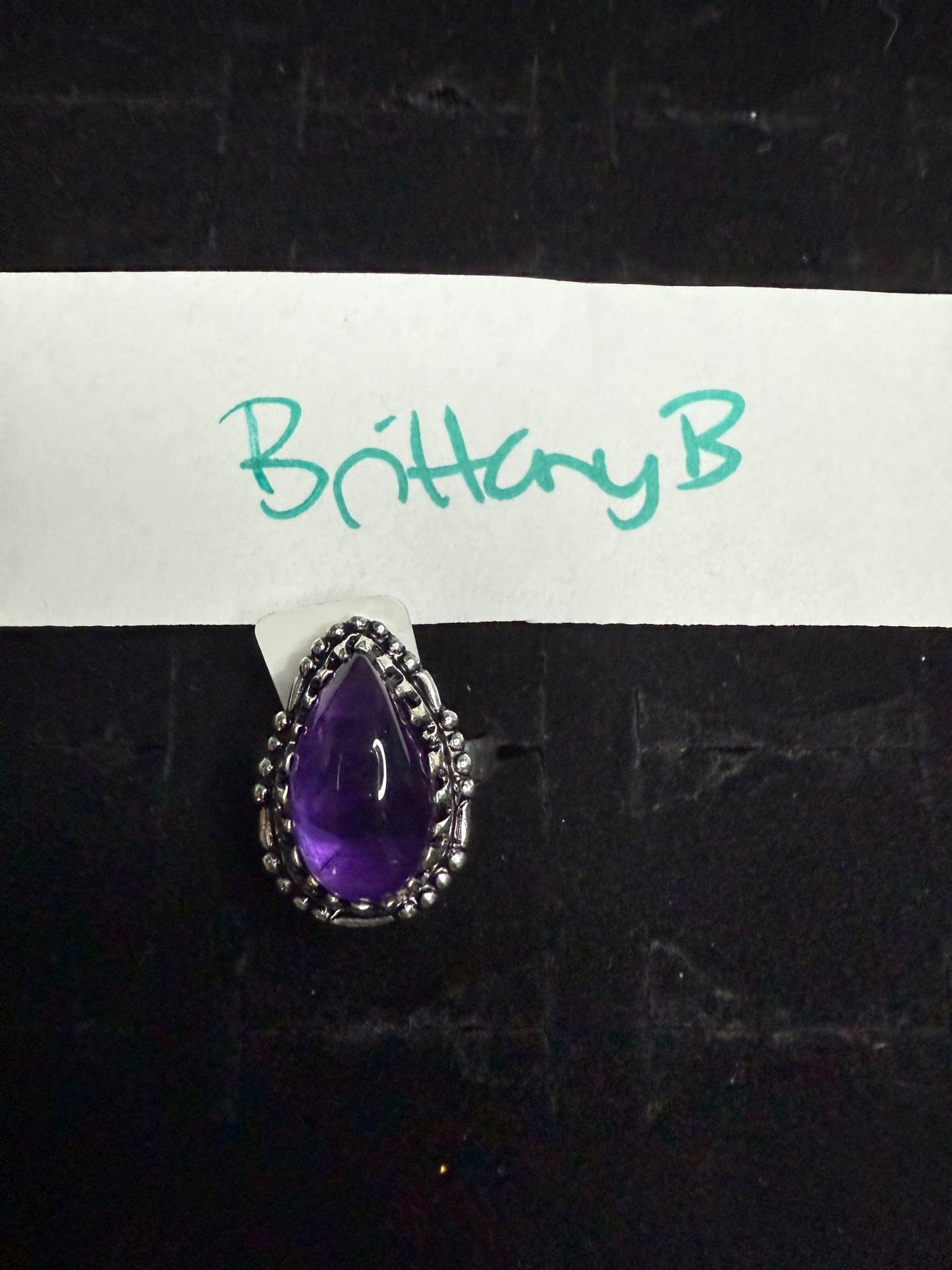 BrittanyB due April 6