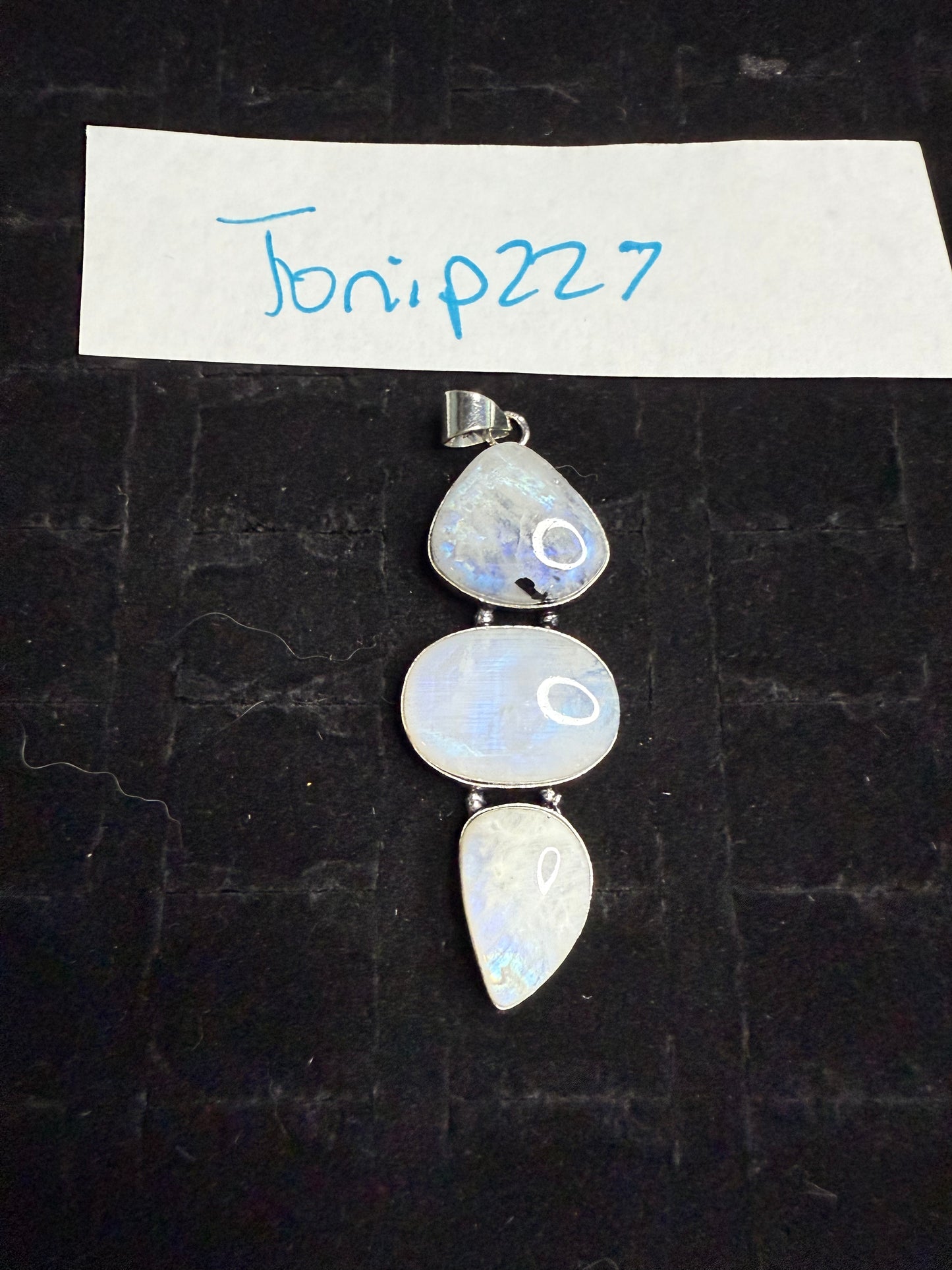 JoniP227 due April 11