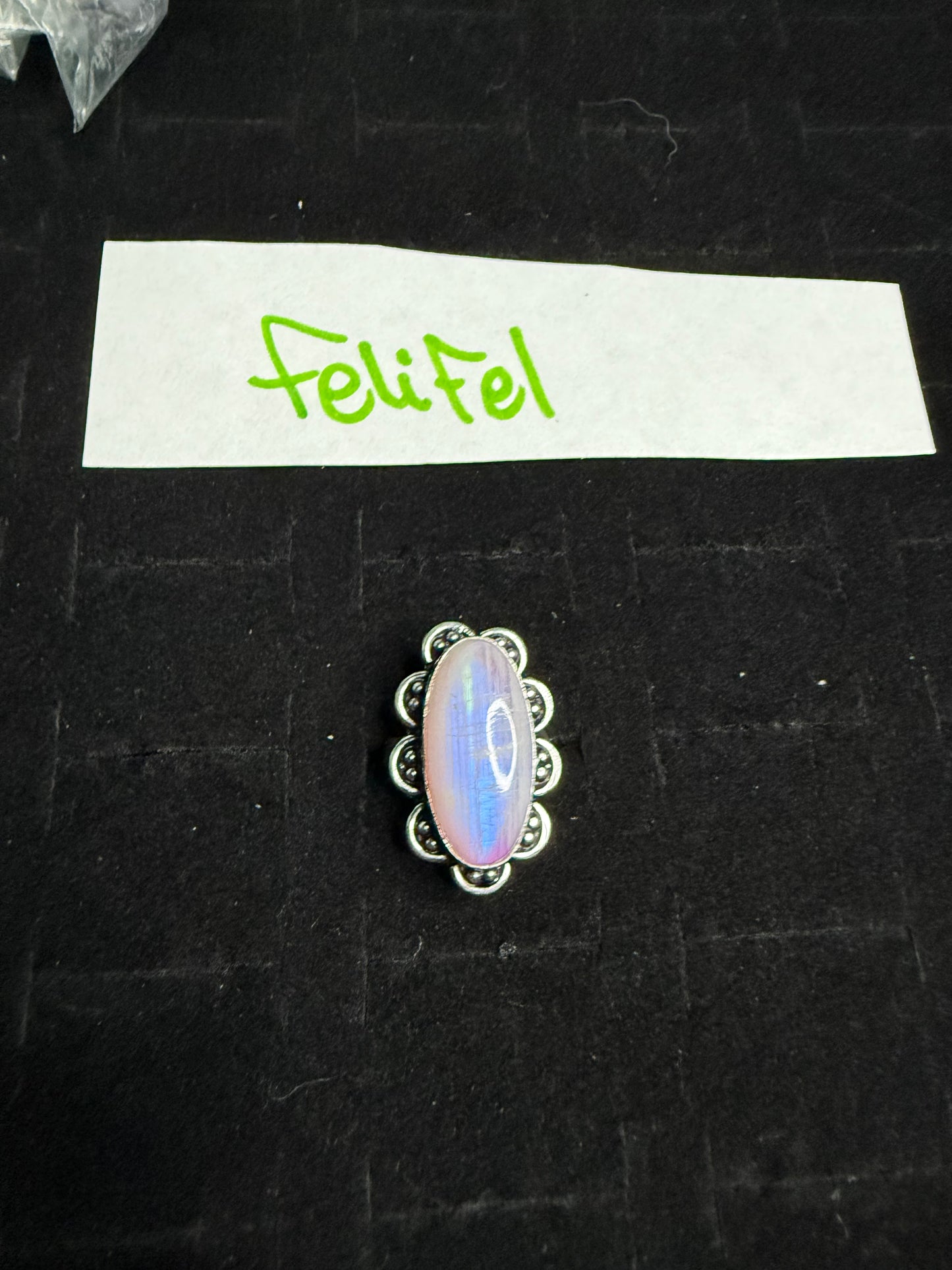 FeliFel due April 25