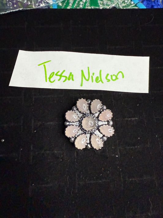 TessaNielson due April 26