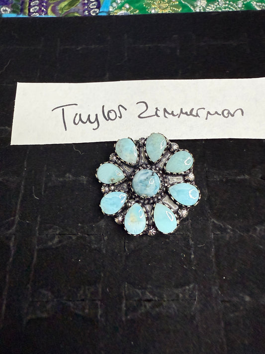 Taylor Zimmerman due May 7