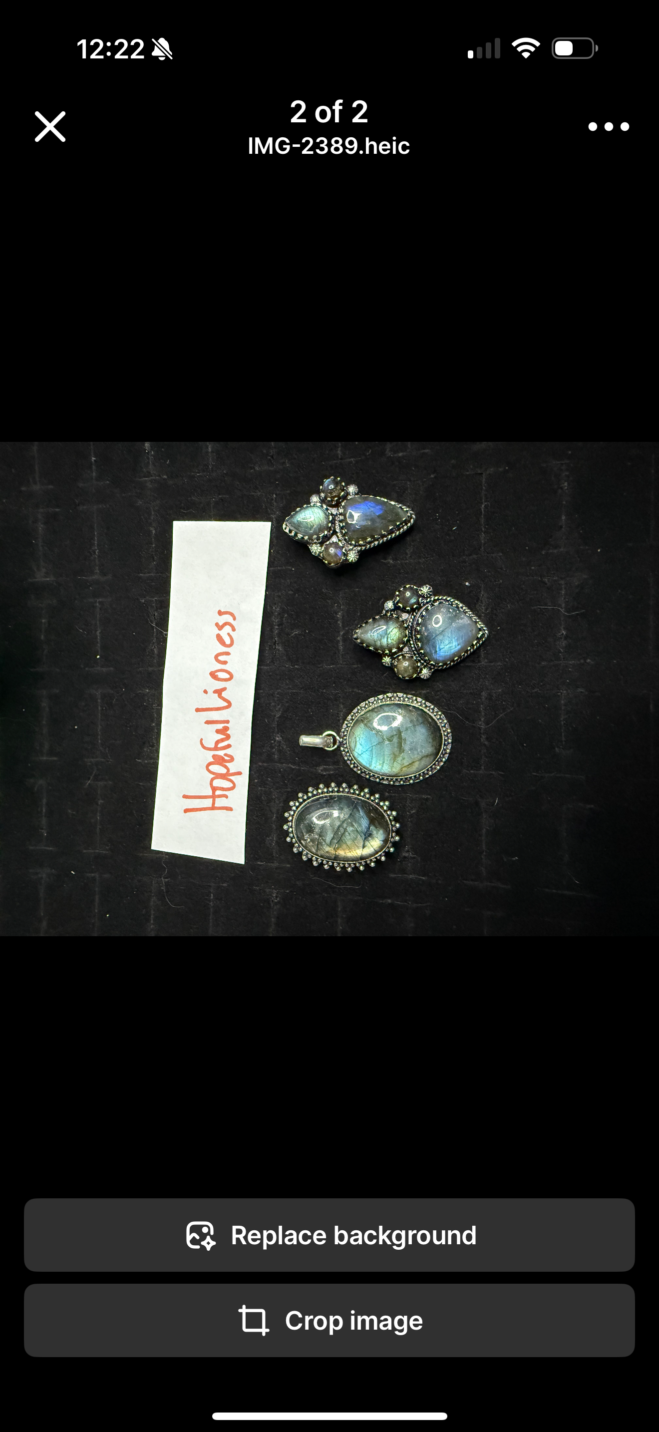 HopefulLioness due May 19