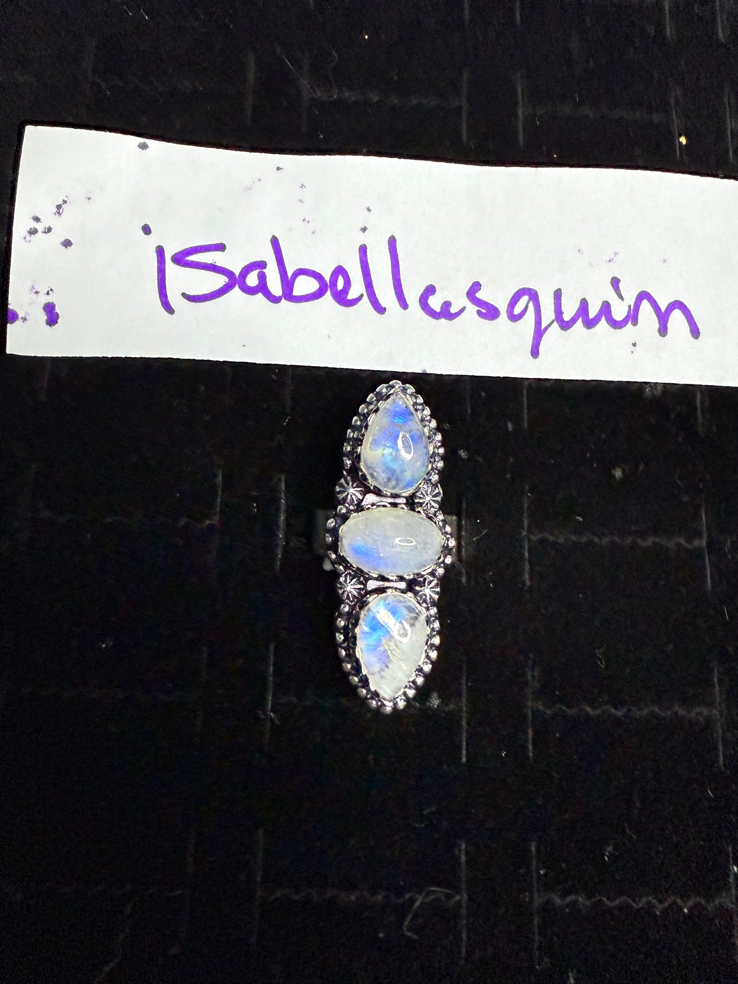 Isabellasquinn due June 14