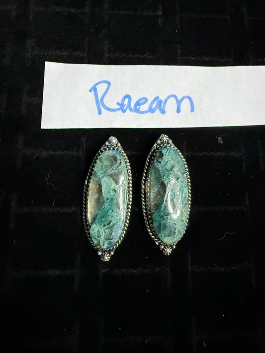 Raeannjackson due June 24