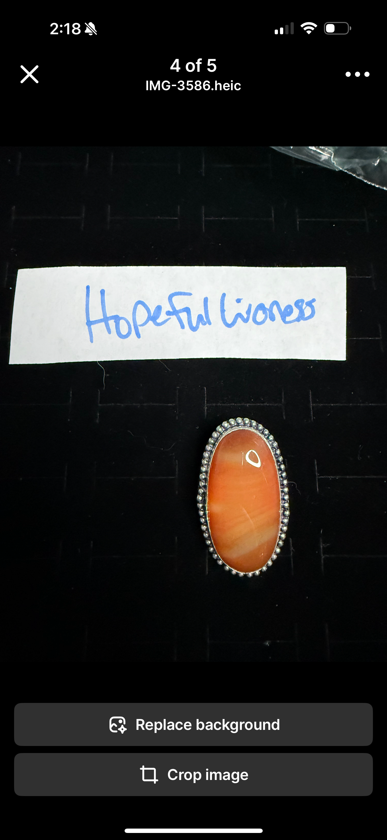 HopefulLioness due July 3