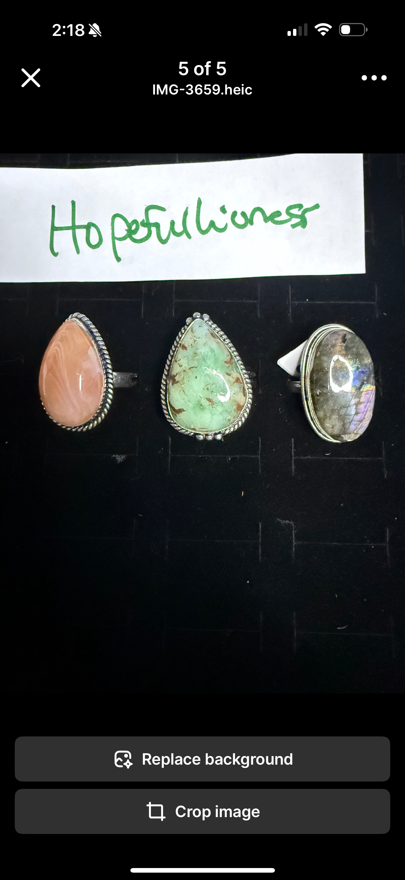 HopefulLioness due July 3