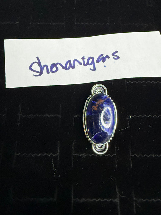 Shenanigans due July 13