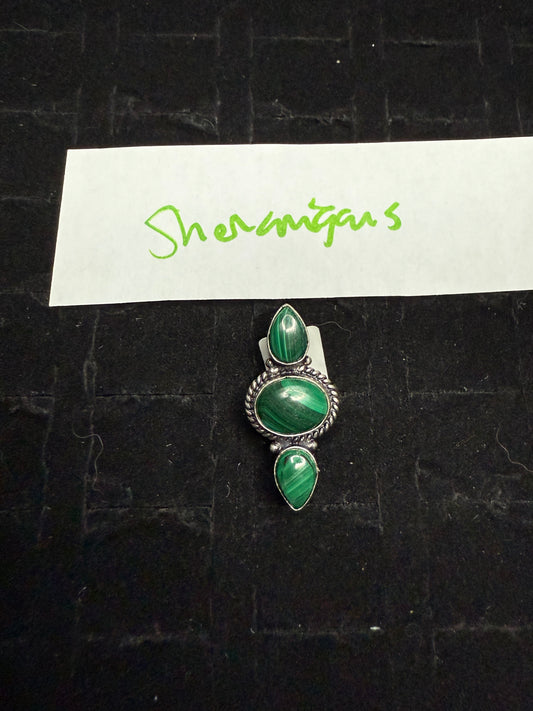 Shenanigans due Aug 11