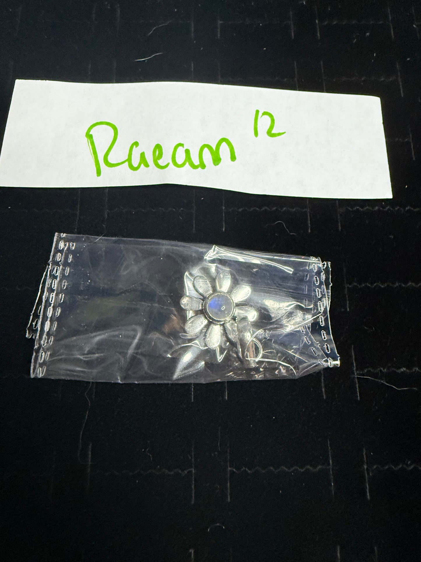 RaeannJackson due Aug 20