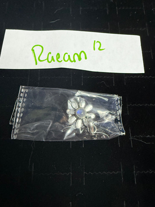 RaeannJackson due Aug 20