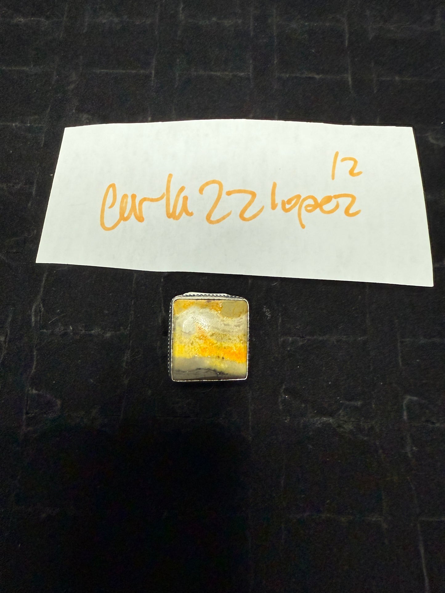 Carla22lopez due Aug 28