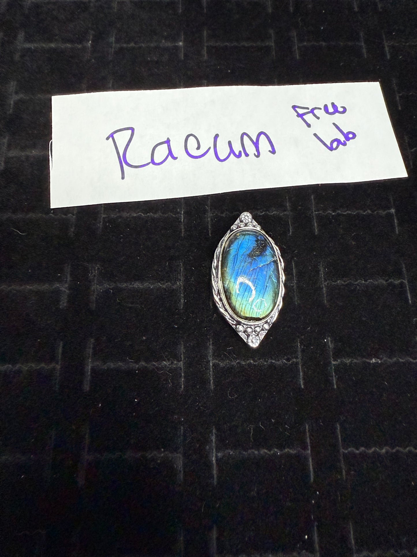 RaeannJackson due Sept 6