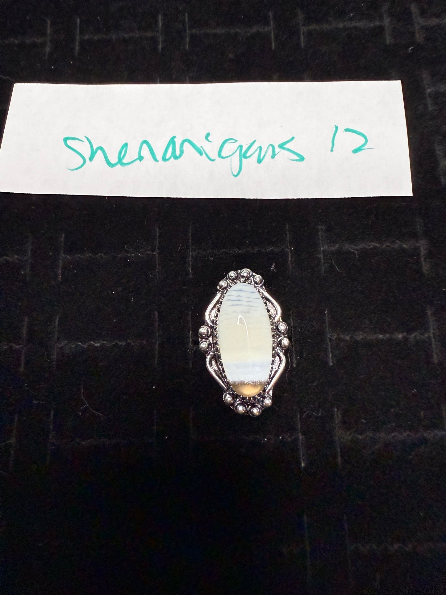 Shenanigans due Sept 17