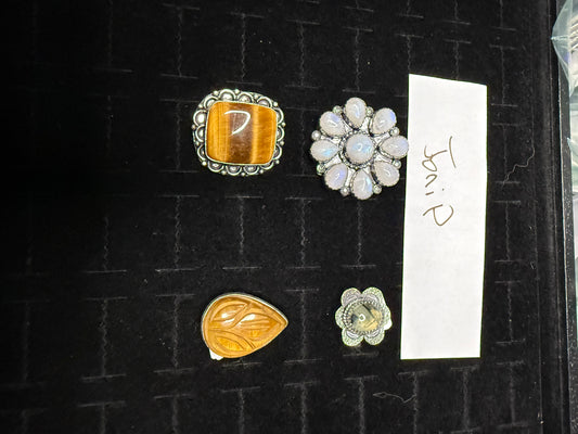 JoniP227 due Sept 27