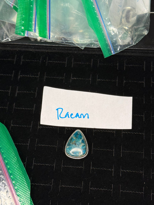 RaeannJackson due Nov 15