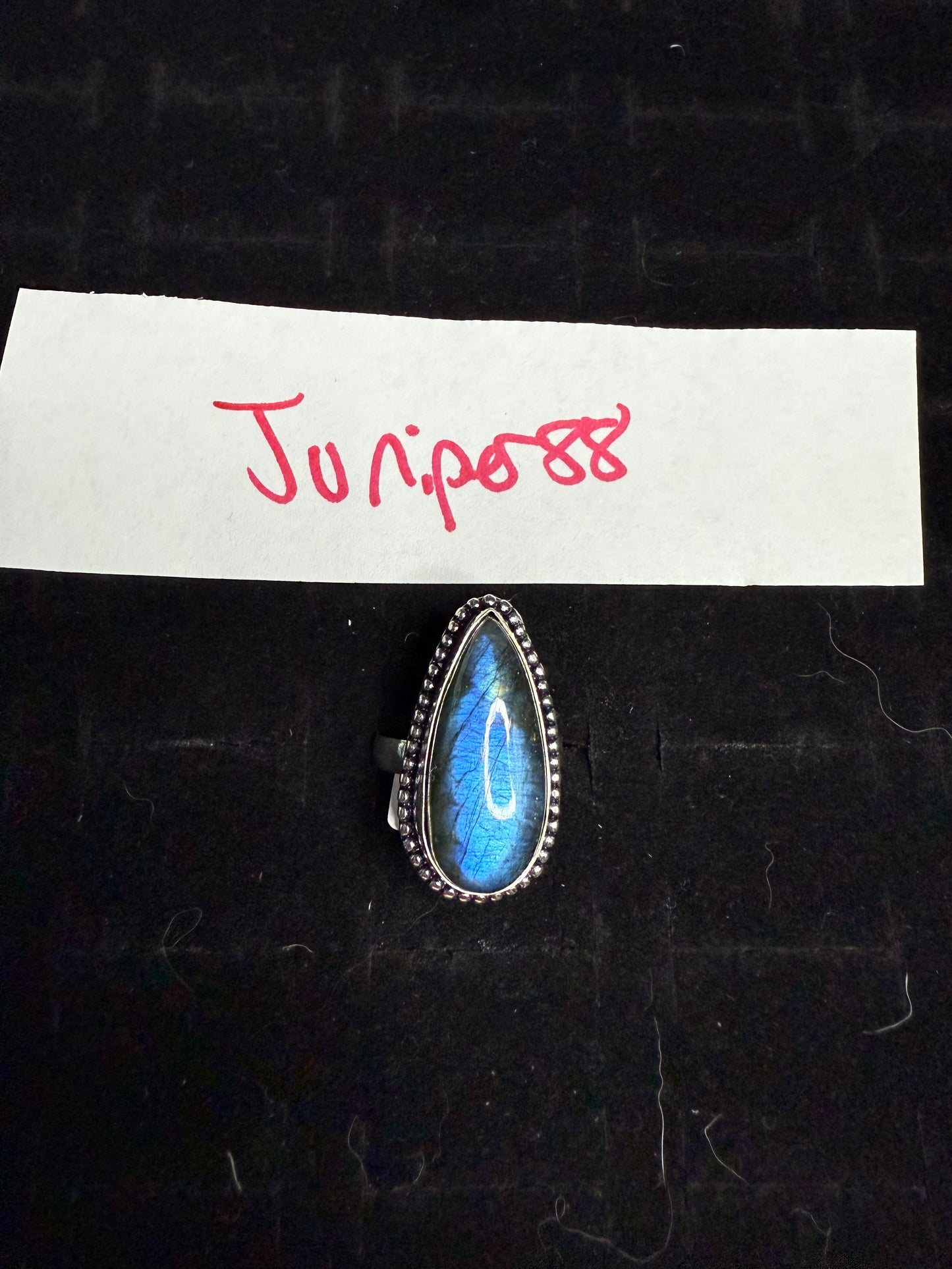 Juniper88 due March 9