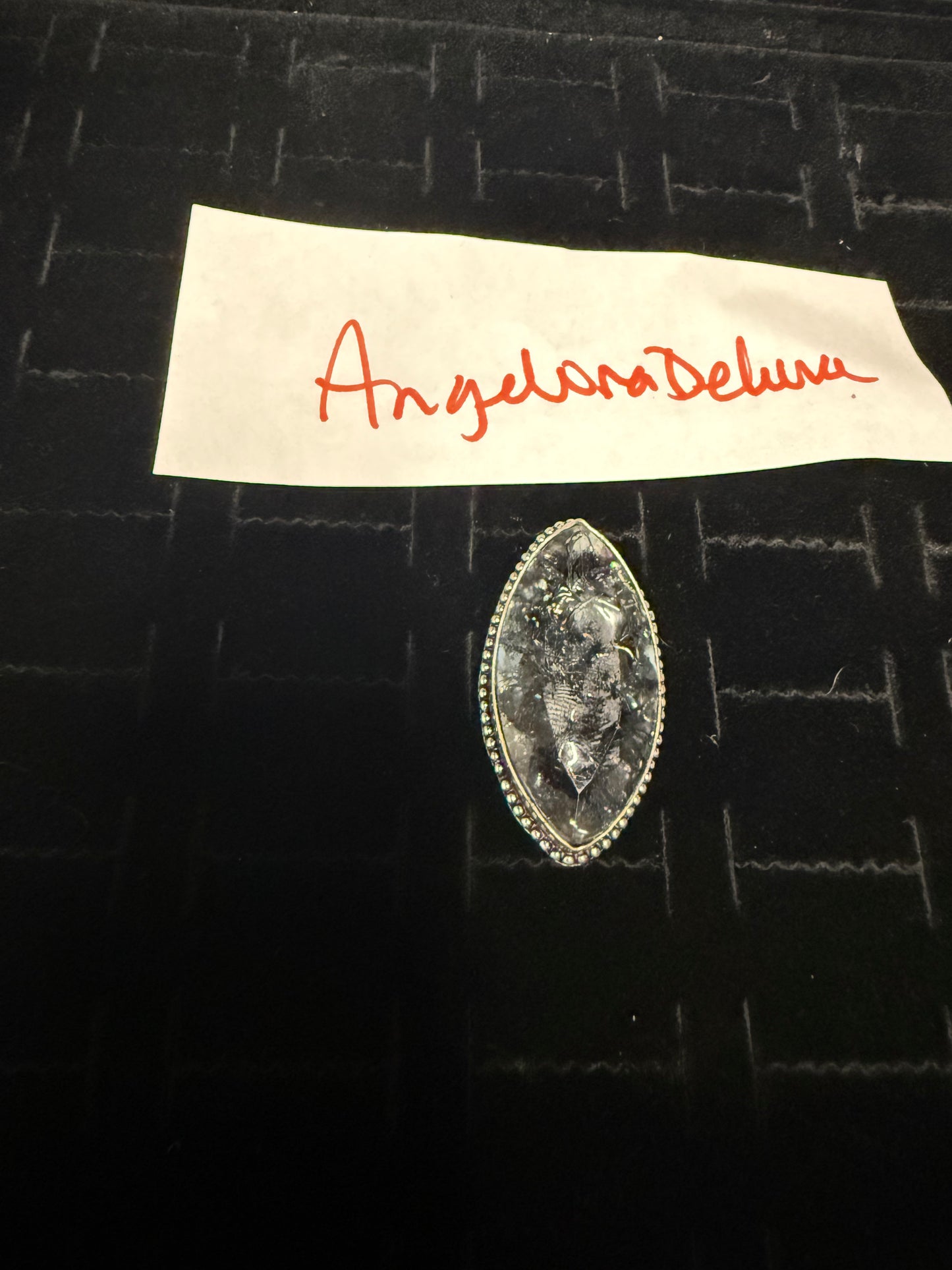 AngelinaDeLuna due Dec 6