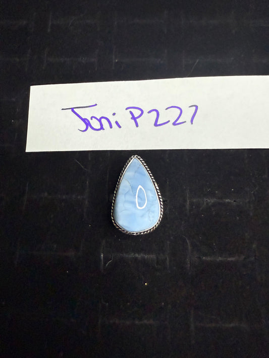 JoniP227 due March 26