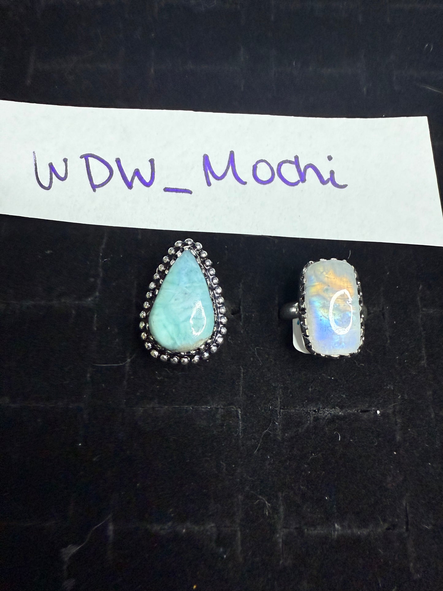 WDW_Mochi due March 26